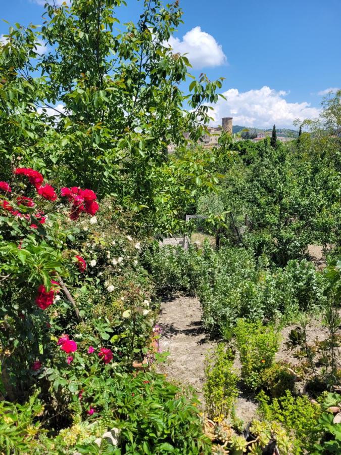 Comfort, Parcheggio E Balcone Su Tricarico In Basilicata, Io Sono Qui Bagian luar foto