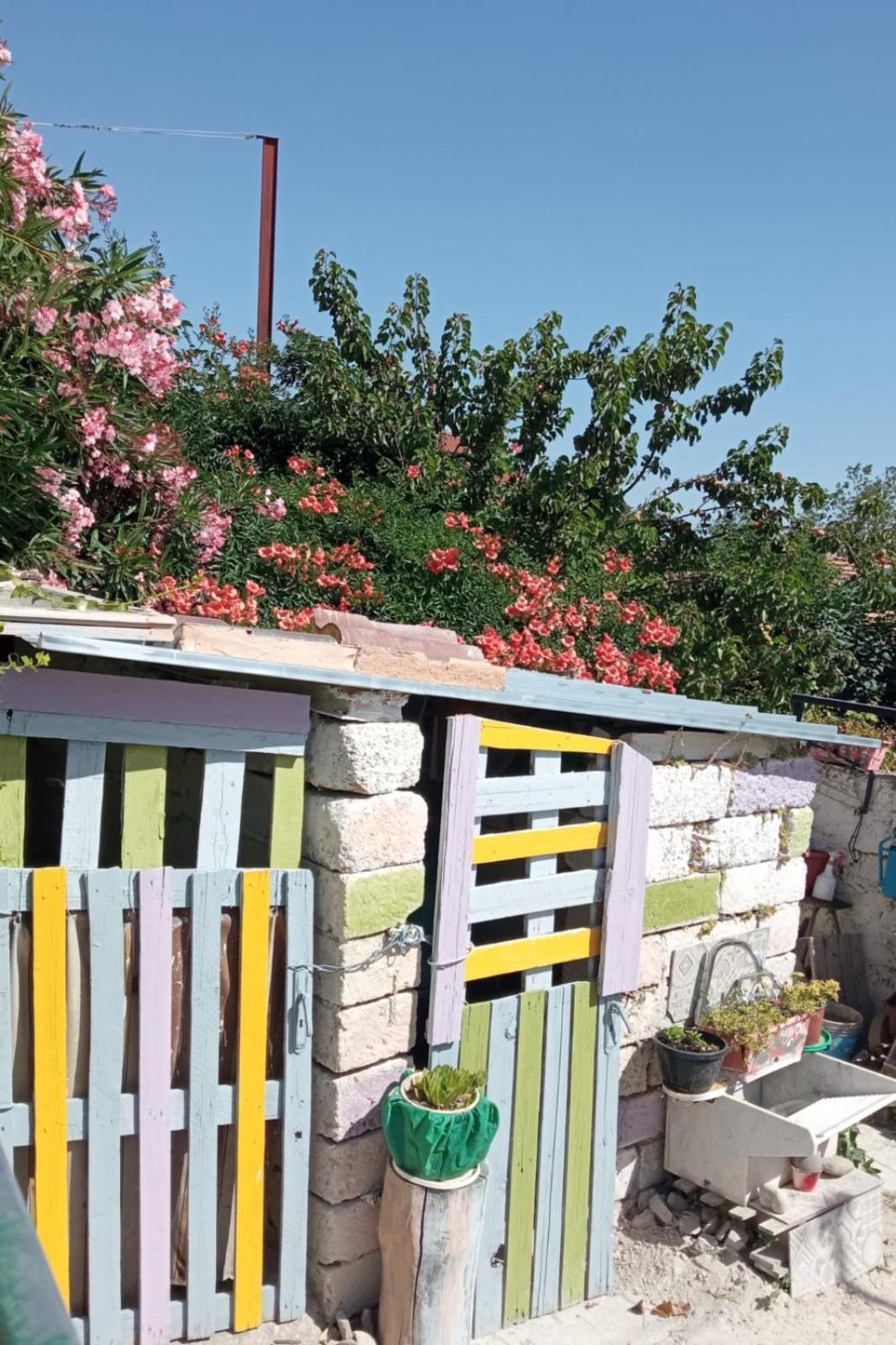 Comfort, Parcheggio E Balcone Su Tricarico In Basilicata, Io Sono Qui Bagian luar foto
