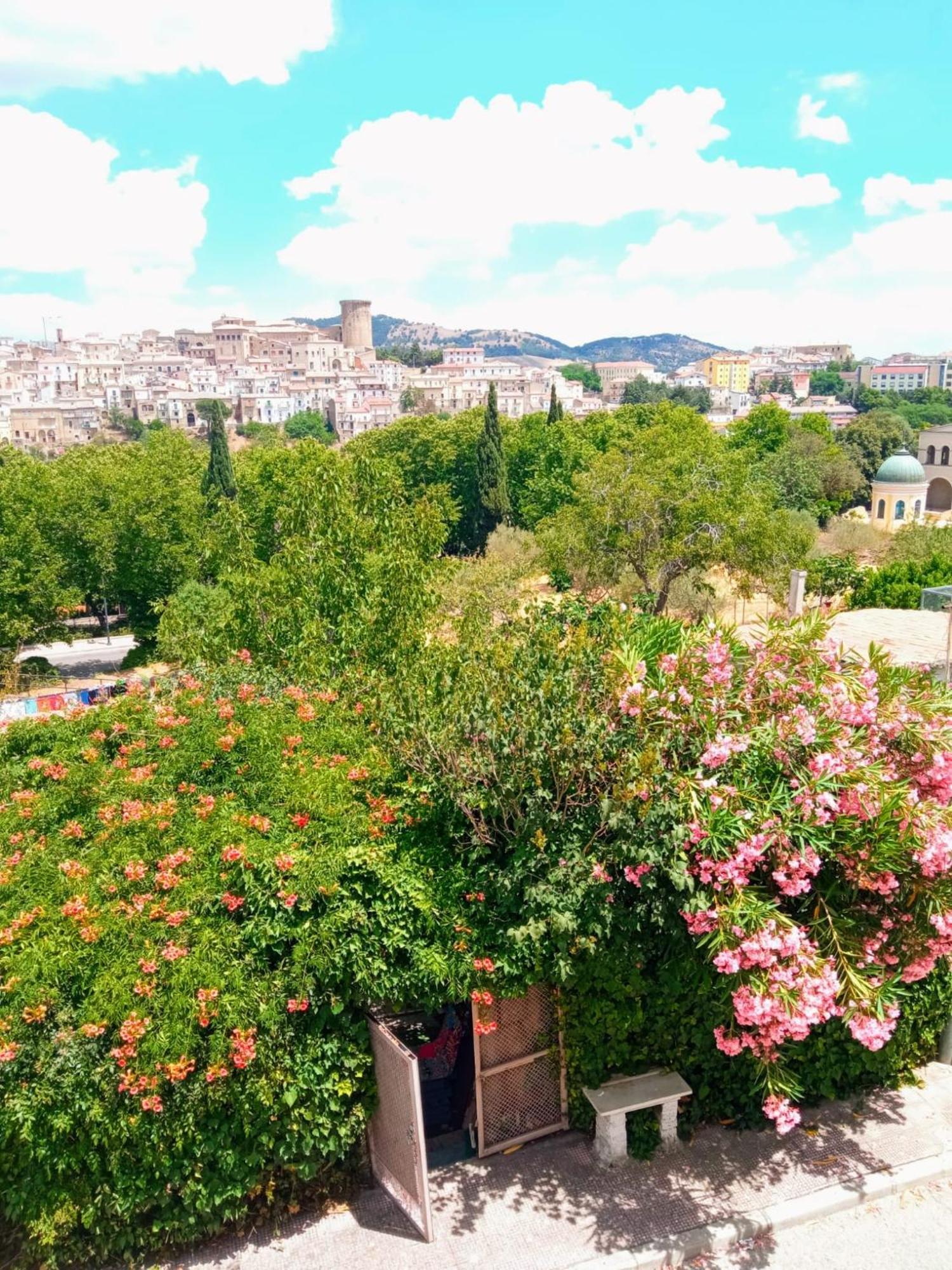 Comfort, Parcheggio E Balcone Su Tricarico In Basilicata, Io Sono Qui Bagian luar foto